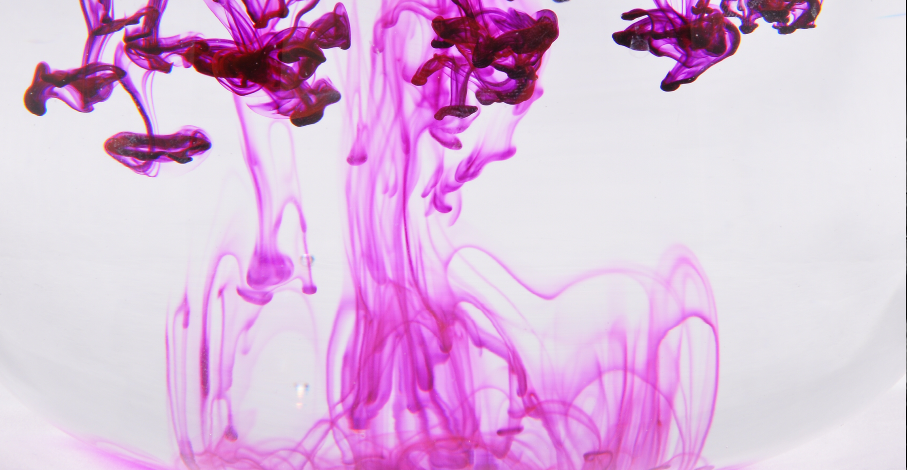 Marc Rettig – Fit Associates Home